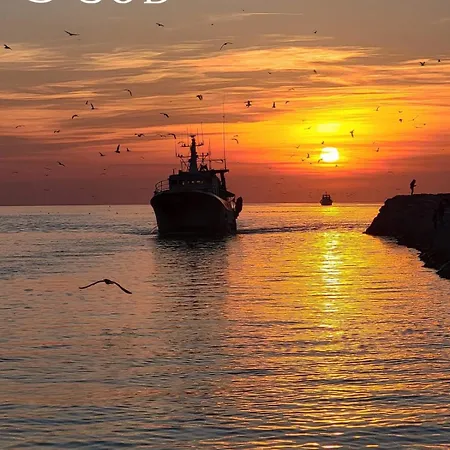 Mar E Souleu Avec Terrasse Et Vue Au Grau Du Roi